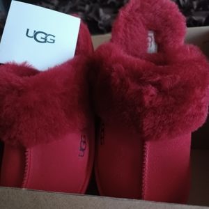 Uggs slippers